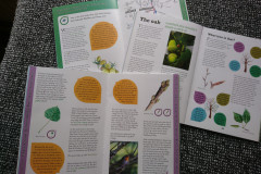 booklets-spreads